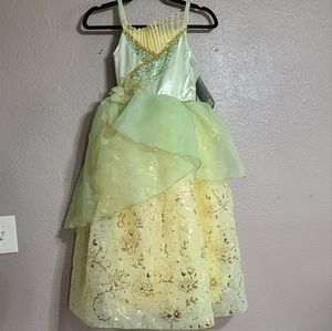 Disney Princess And The Frog Tiana Dress